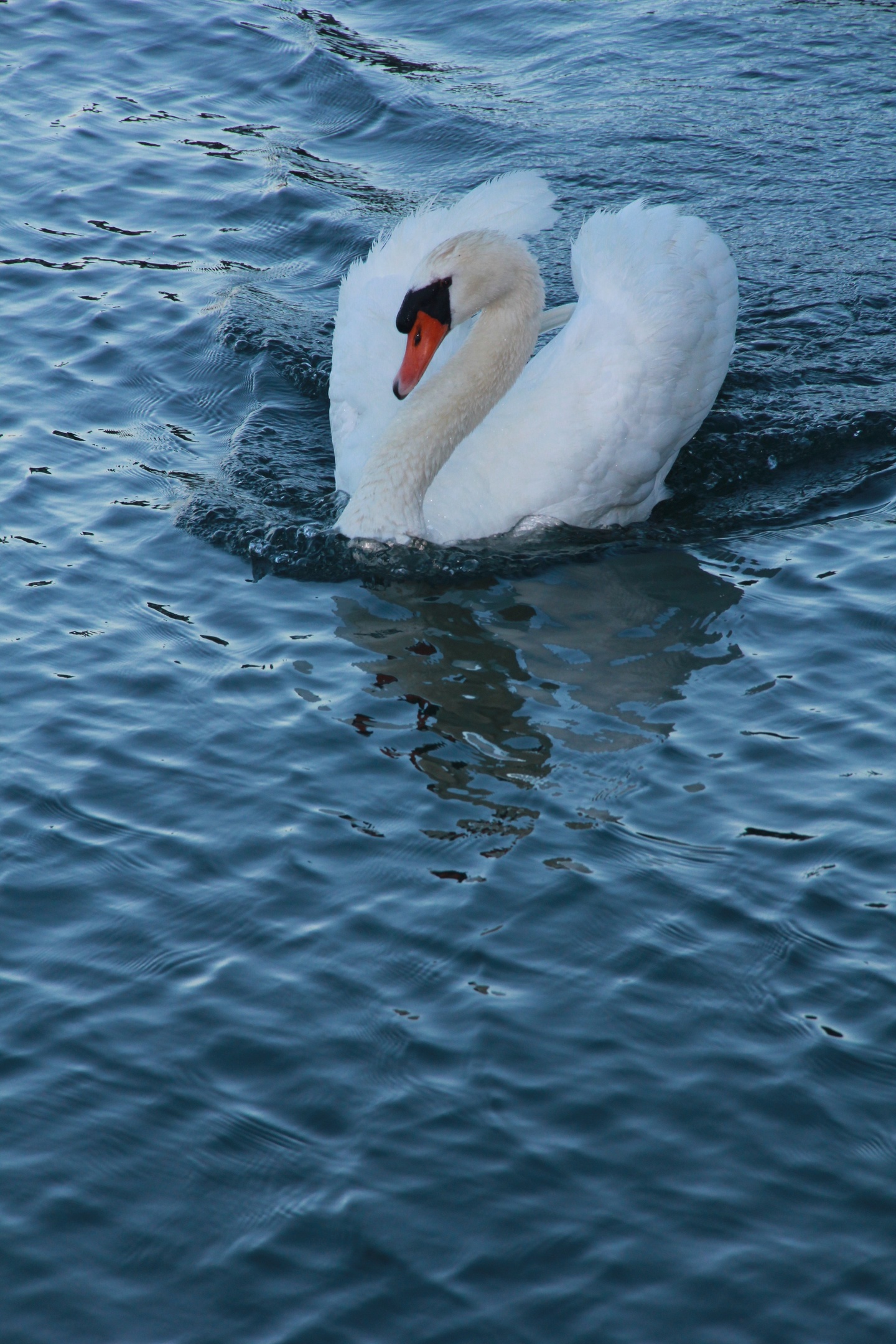 Sorsele begravningsbyrå