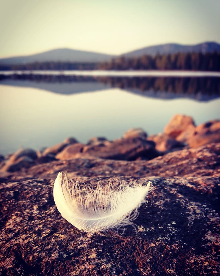 Sorsele begravningsbyrå