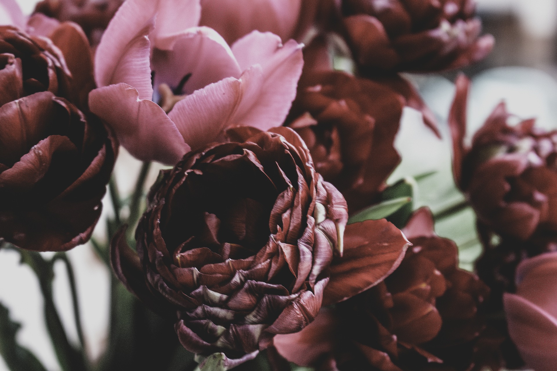 Gäst på begravning